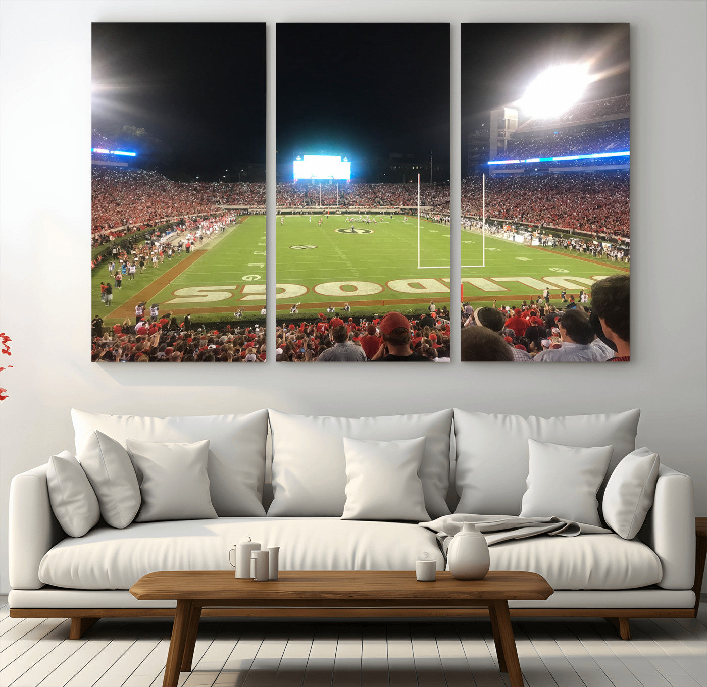 16230786-MGV-CV-36X24-Dooley Stadium Wall Art, Sports Arena Panoramic Canvas Print, Modern Stadium Landscape Artwork for Home, Office