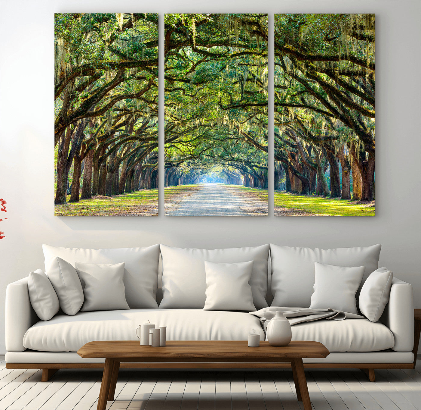 45881-MGV-CV-48X32-3P-Wormsloe State Plantation Driveway Wall Art Canvas Print