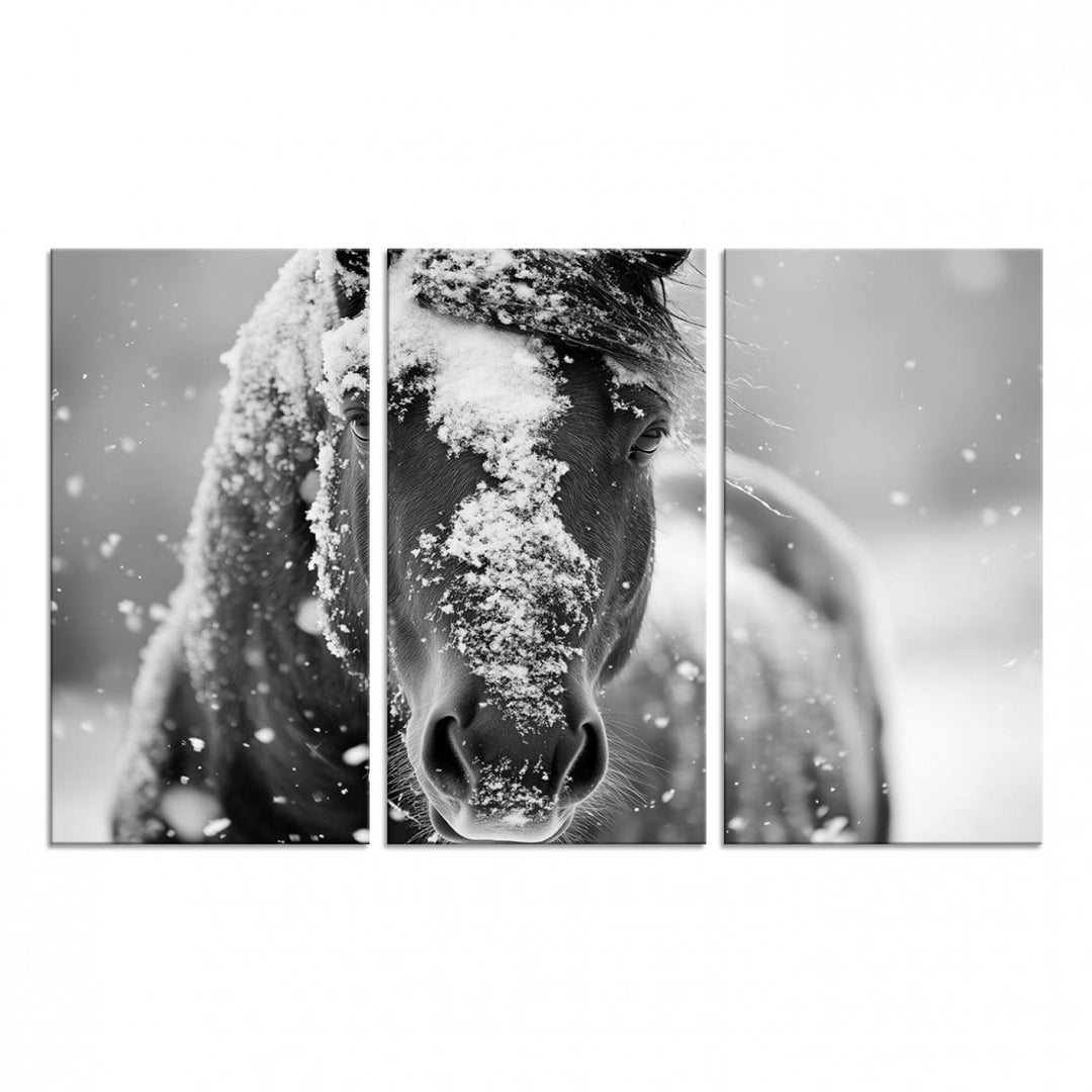 The Black and White Horse Winter Wall Art features a majestic horse with snow-covered hair set against a serene winter backdrop.