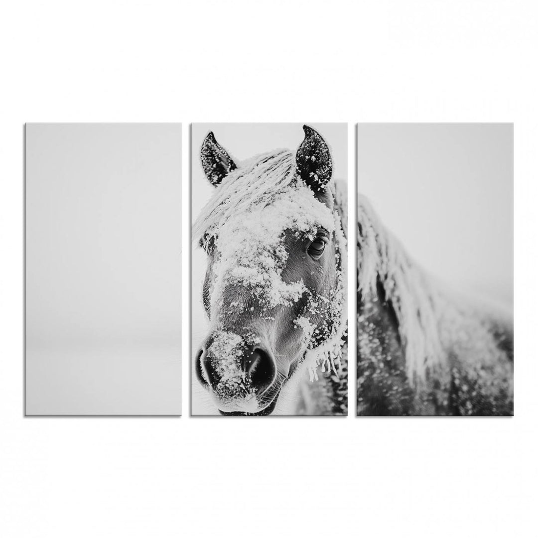 White Horse Wall Art: A black and white photo of a snow-covered horse, framed and ready to hang for farmhouse decor.