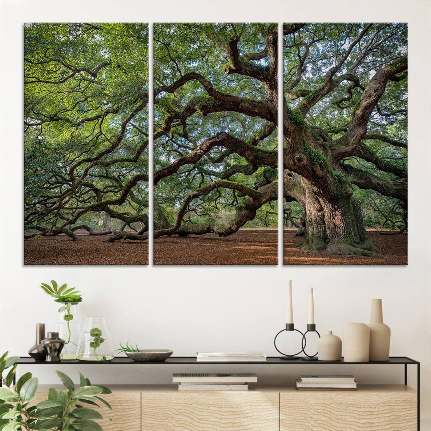 Canvas of the Angel Oak tree with sprawling limbs and mossy bark, ideal for earthy natural or rustic southern-inspired decor.