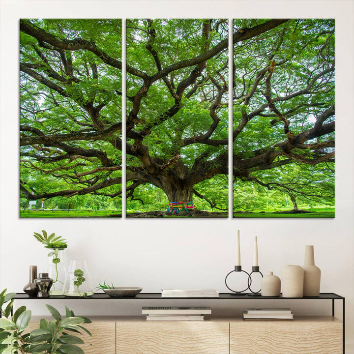 Framed Angel Oak Tree print featuring sprawling branches and ribbons against a clear sky backdrop, ideal for home or office decor.