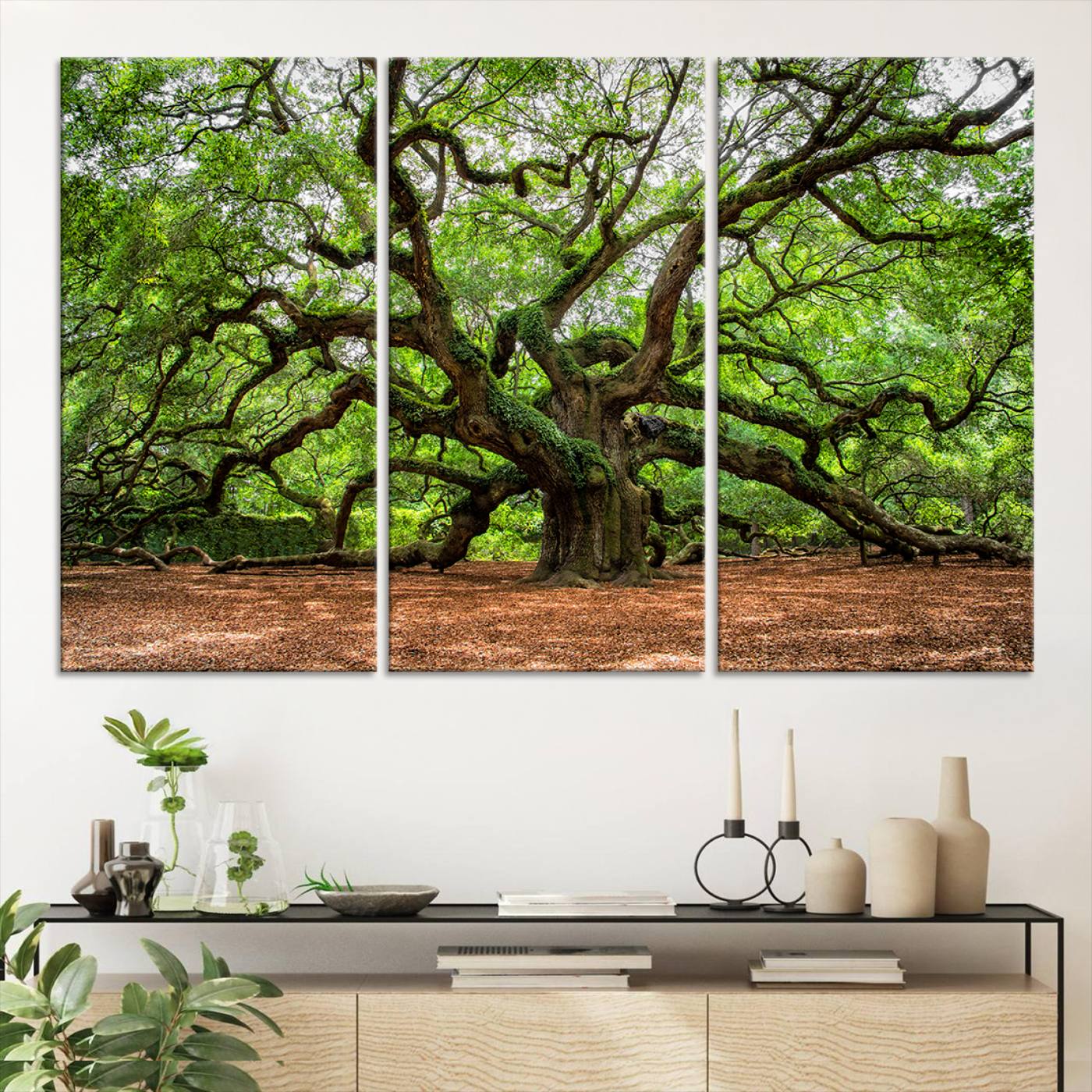 A majestic, ancient tree with expansive, twisting branches spreading wide under a dense, vibrant green canopy in a serene forest clearing.