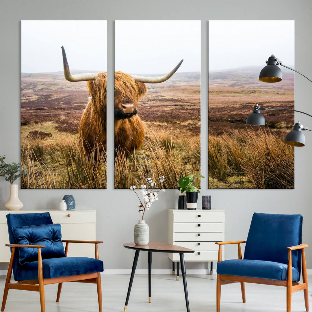 A ready-to-hang Scottish Highland Cow Cattle Canvas Wall Art.