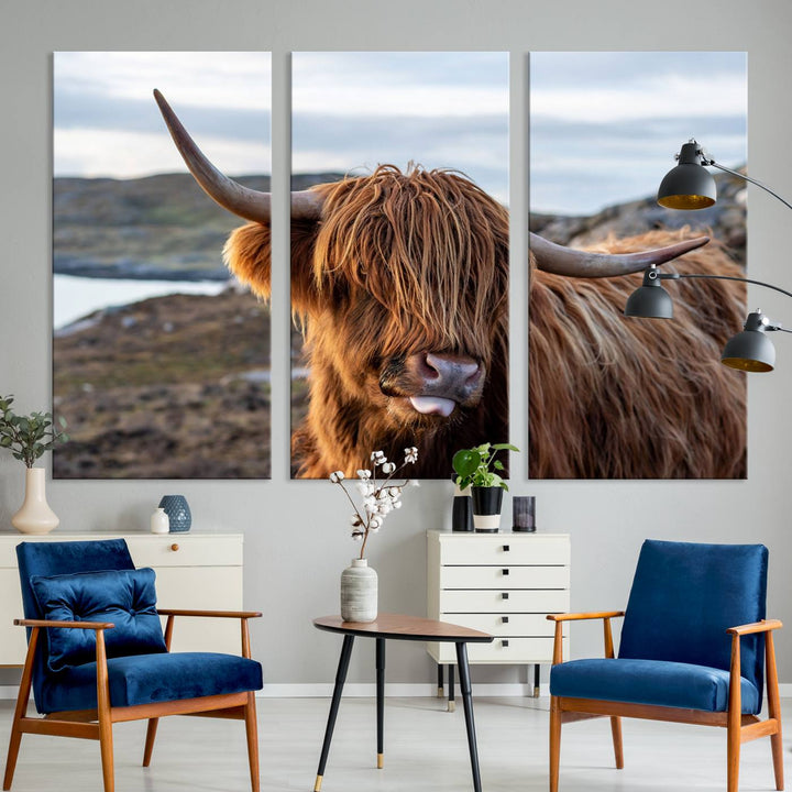 The Cuddly Highland Cow Canvas hangs, adding charm with its shaggy elegance.