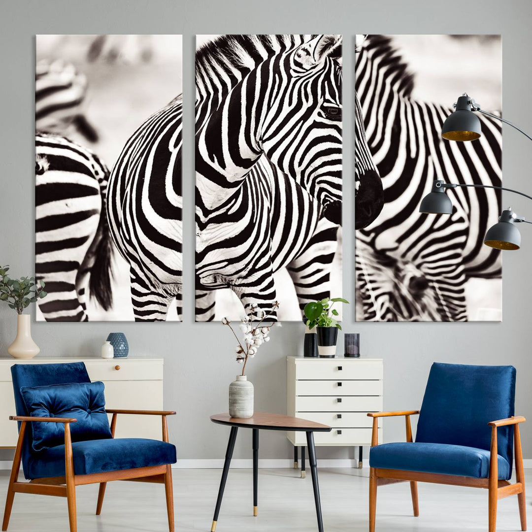 The Brilliant Zebra Photography Art Canvas Print hangs prominently on the wall.