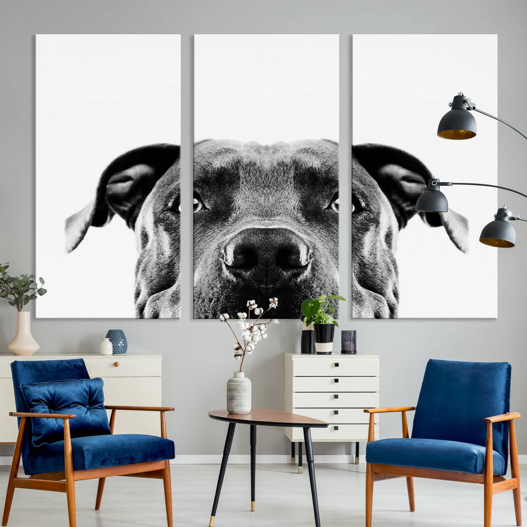 The "Black and White Pit Bull Dog Wall Art Canvas Print" elegantly adorns the living room, infusing character and charm into the contemporary setting. This captivating piece is perfect for dog lovers.