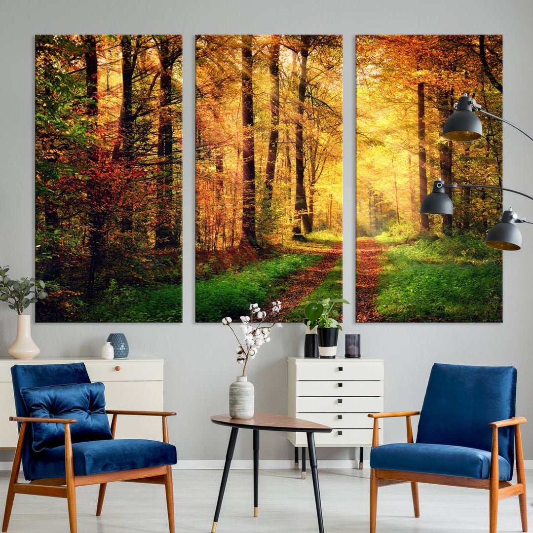 The Sunlight Through Trees Wall Art Canvas Print showcases a sunlit autumn forest and includes UV protection to ensure lasting vibrance.