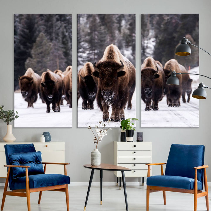 Bison Herd Canvas Wall Art.