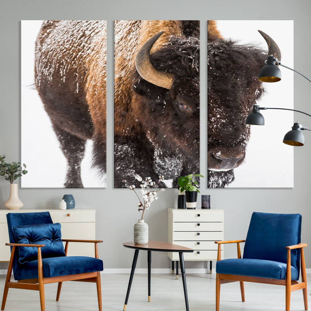 Bison Wall Art Canvas.