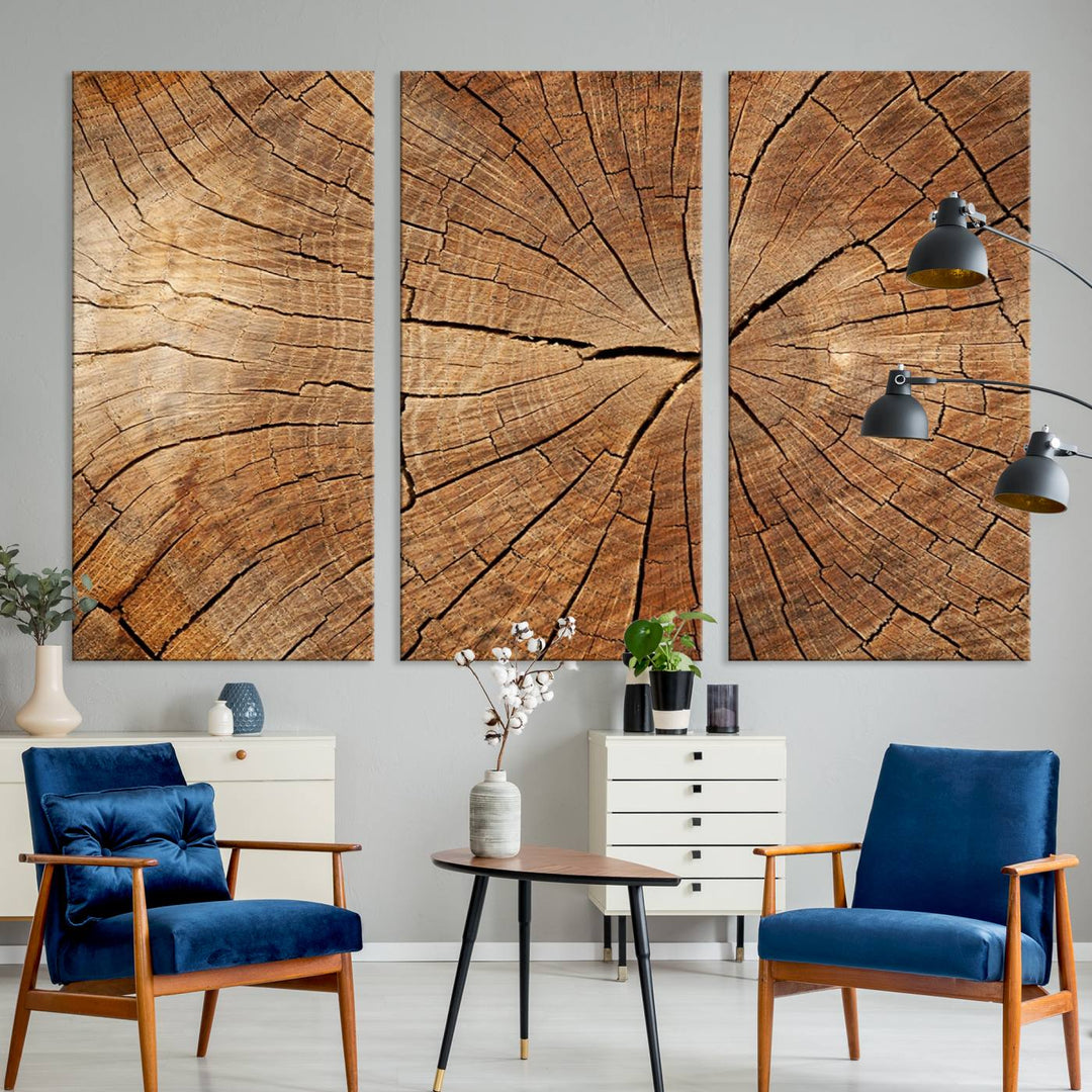 Tree Ring Canvas Art decorates a textured wall.