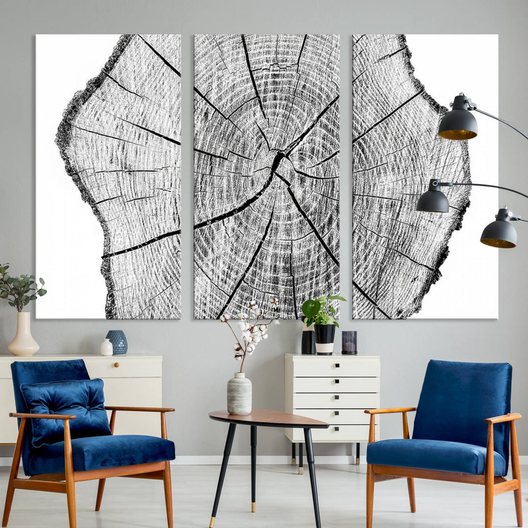 Black and white tree ring art print.