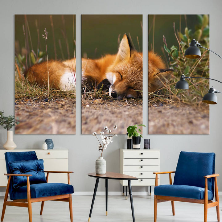 The Sleeping Fox Wall Art Canvas Print is ideal for farmhouse decor.