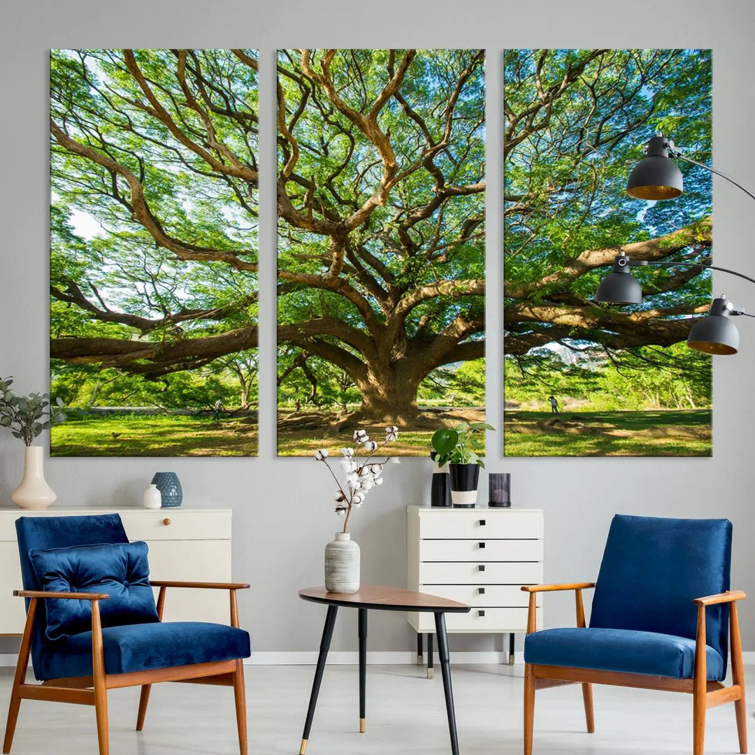 The Angel Oak Tree Wall Art, a multi-panel canvas print showcasing a large tree with sprawling branches and green leaves in a style reminiscent of the majestic Angel Oak Tree, elegantly adorns the wooden wall in the living room.