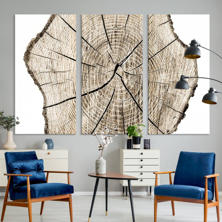 The Abstract Wood Tree Ring Wall Art set of 3 adds a minimalist touch to the space.