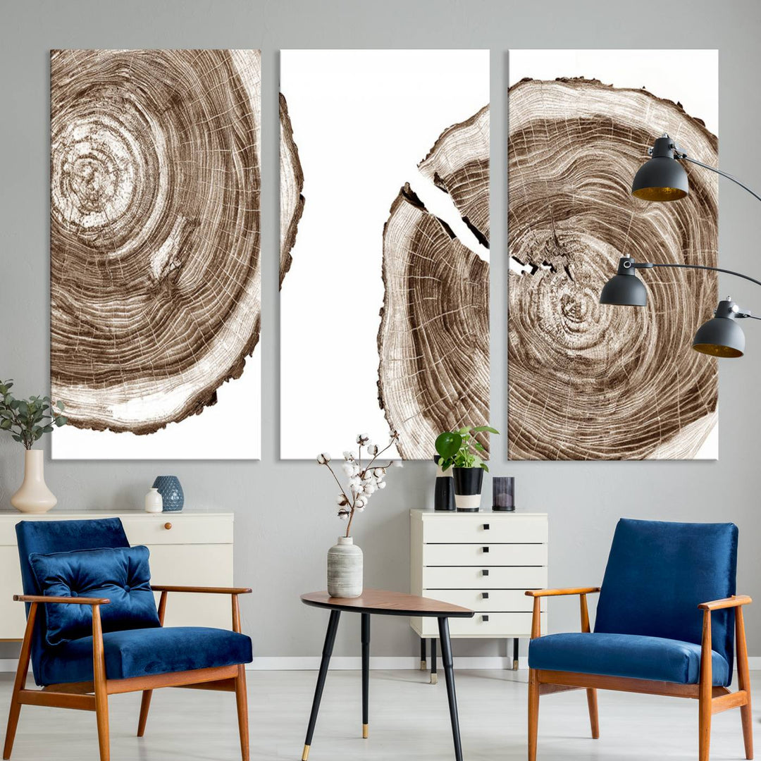 Wood Tree Ring Wall Art on a minimalist black and white canvas.