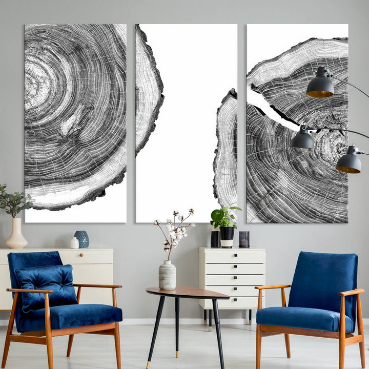 The minimalist art piece Abstract Large Tree Rings on canvas creates a striking focal point.