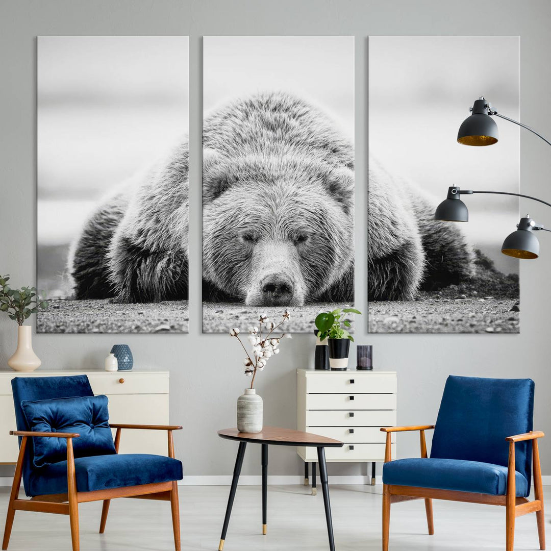 Resting Grizzly Bear wall art displayed in a modern room.