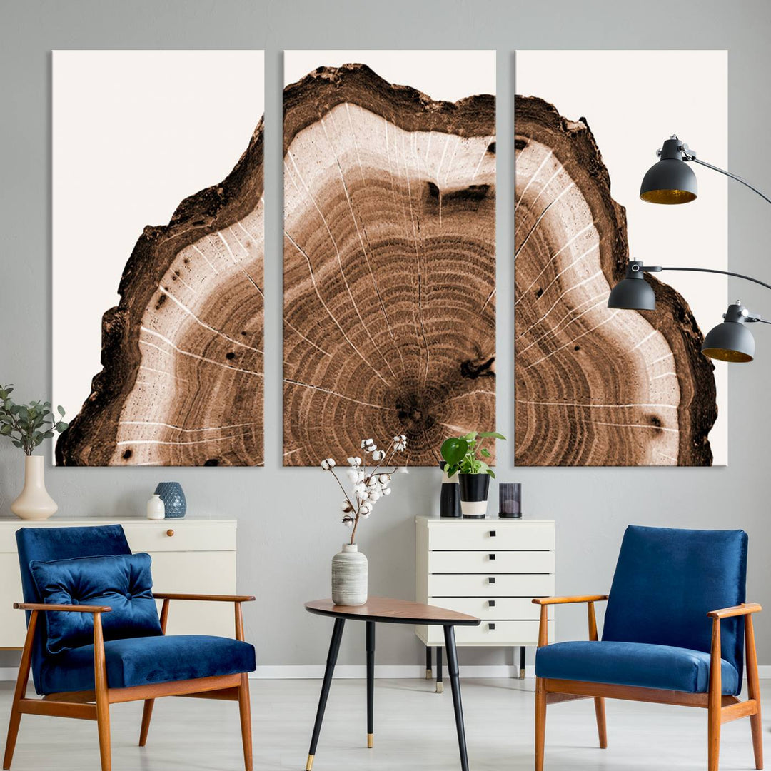 Close-up of the Rustic Wood Rings Wall Art featuring detailed tree rings and natural texture on a plain white background.