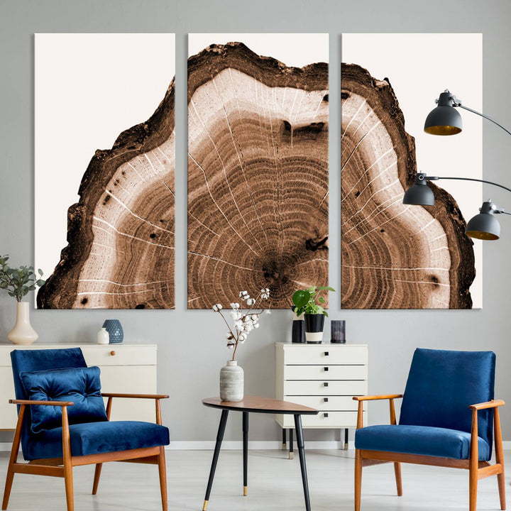 Rustic Wood Rings Wall Art | Nature-Inspired Tree Ring Canvas Print | Ready to Hang and Framed for Farmhouse Wall Decor