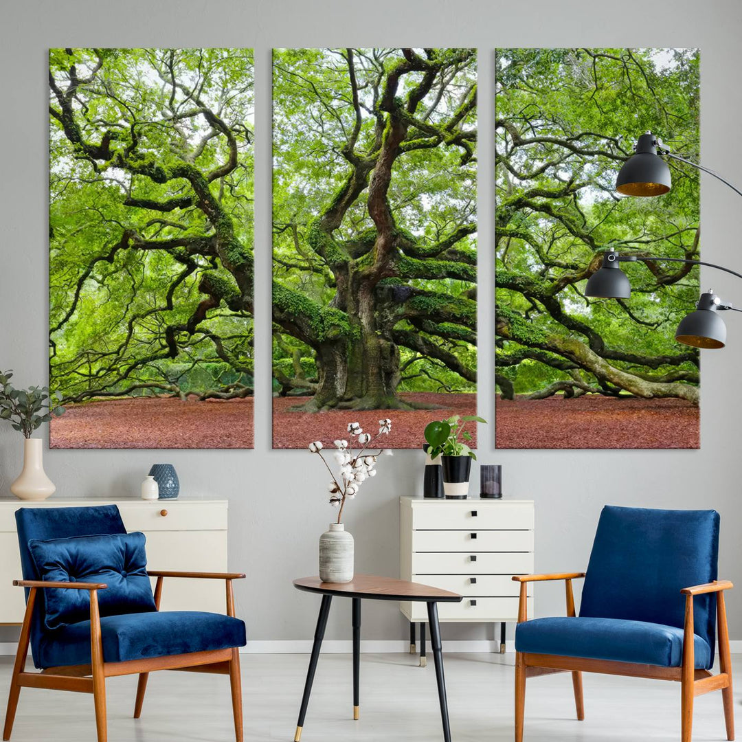 Framed Angel Oak Tree Wall Art - 3-Panel Canvas Prints, Large Green Nature Artwork, Ready to Hang Home Decor for Living Room, Office, Bedroom