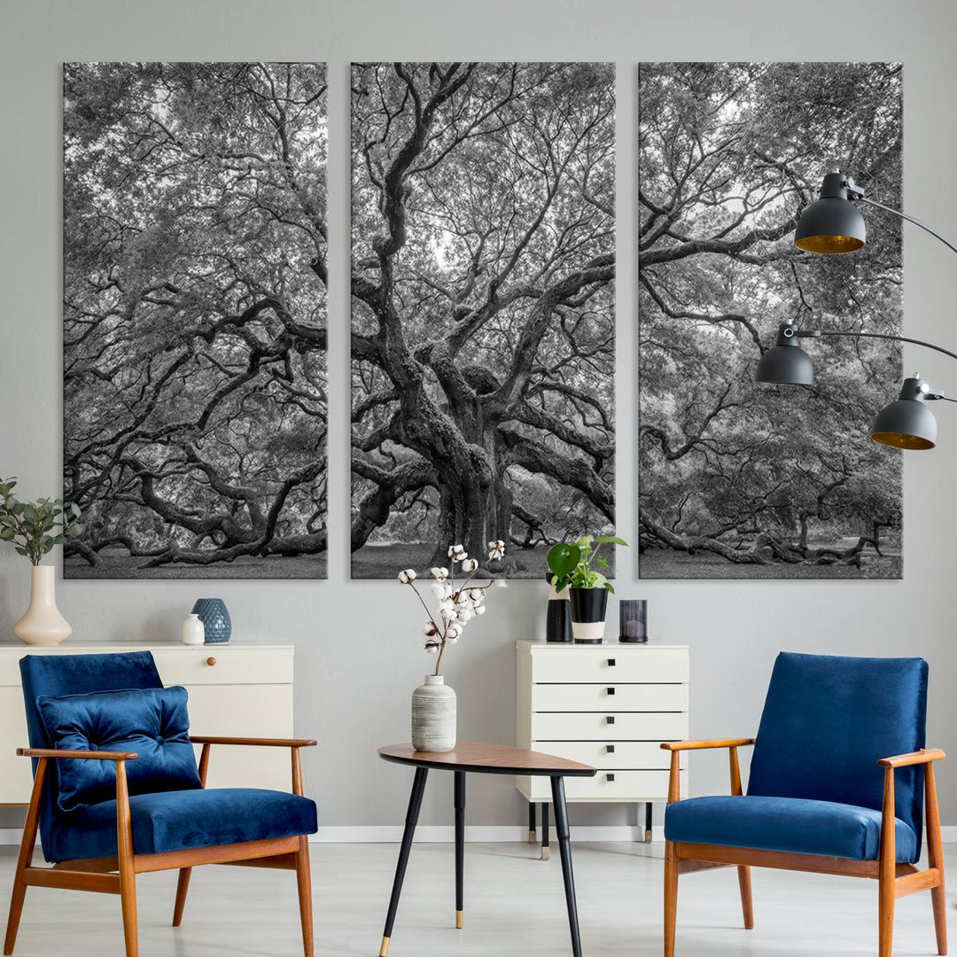 Majestic Angel Oak Tree Black and White Canvas Print – Multi Panel Wall Art, Giclée Print, Ready to Hang Nature Photography for Home Decor