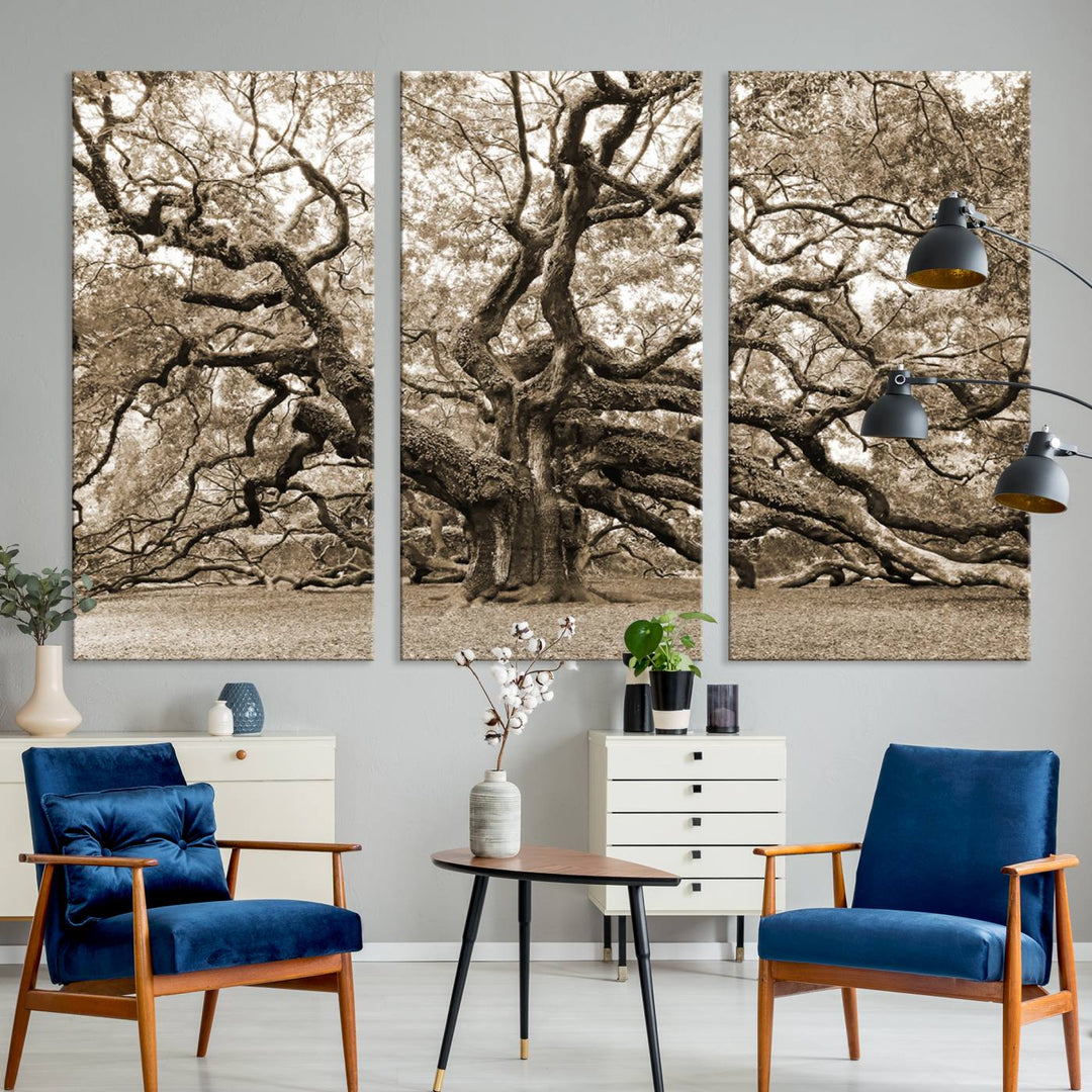 Displayed on the wall is a Sepia-framed Angel Oak Tree 3-panel canvas.