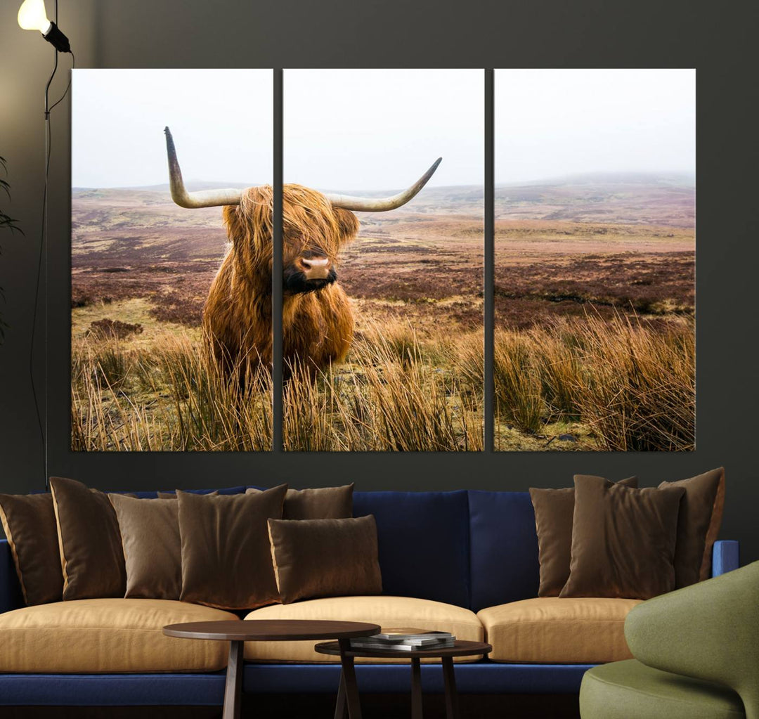 A ready-to-hang Scottish Highland Cow Cattle Canvas Wall Art.