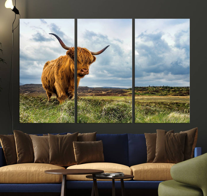 Highland Cattle Canvas Print: A minimalistic touch for any setting.