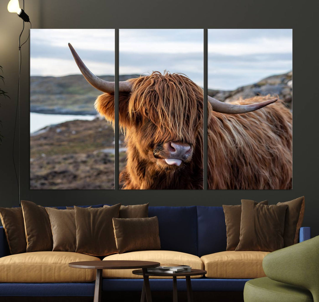 The Cuddly Highland Cow Canvas hangs, adding charm with its shaggy elegance.