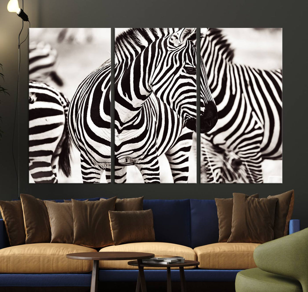 The Brilliant Zebra Photography Art Canvas Print hangs prominently on the wall.