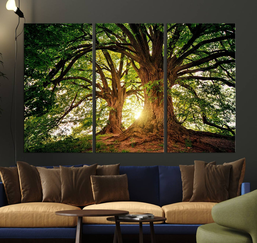 Majestic Ancient Tree Wall Art is illuminated by sunlit forest rays.