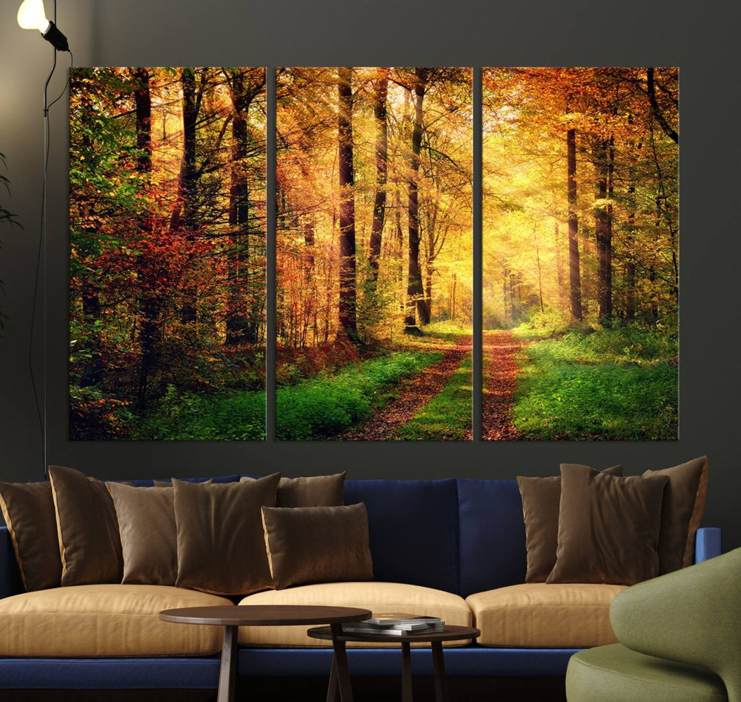 The Sunlight Through Trees Wall Art Canvas Print showcases a sunlit autumn forest and includes UV protection to ensure lasting vibrance.