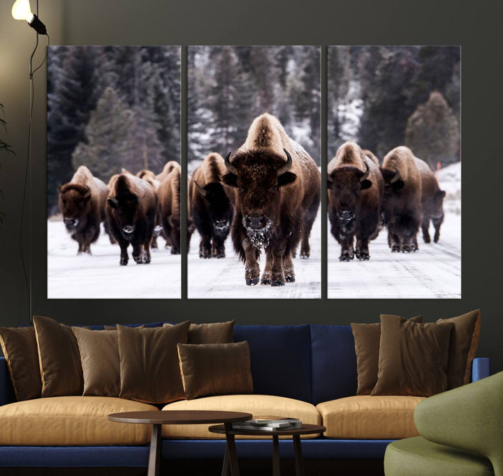 Bison Herd Canvas Wall Art.