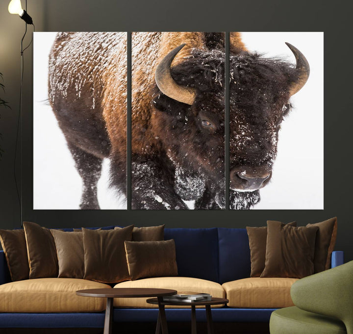 Bison Wall Art Canvas.