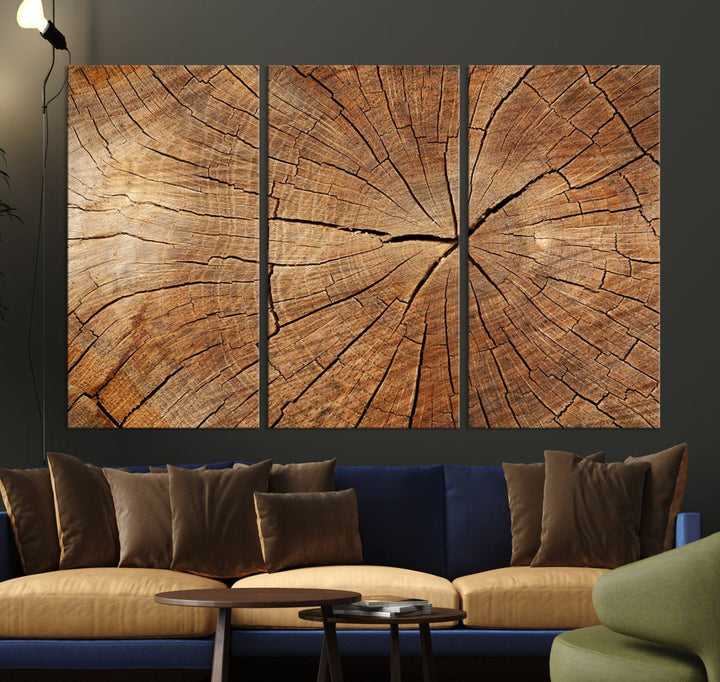 Tree Ring Canvas Art decorates a textured wall.