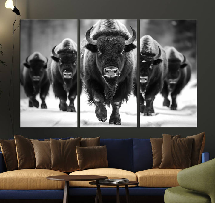 A black and white American Bison herd canvas print adorns the wall.