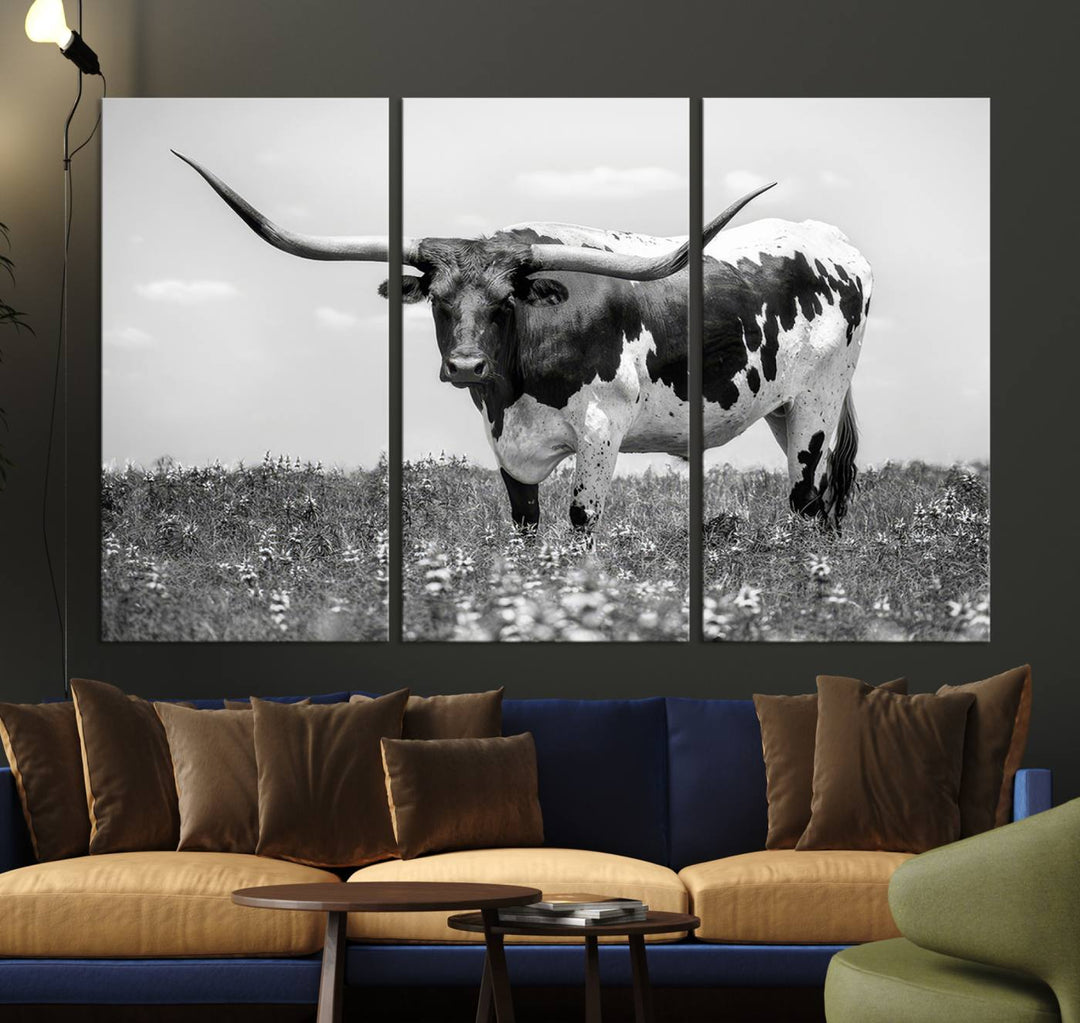 Texas Black White Highland Longhorn Cow Wall Art Canvas displayed on the wall.