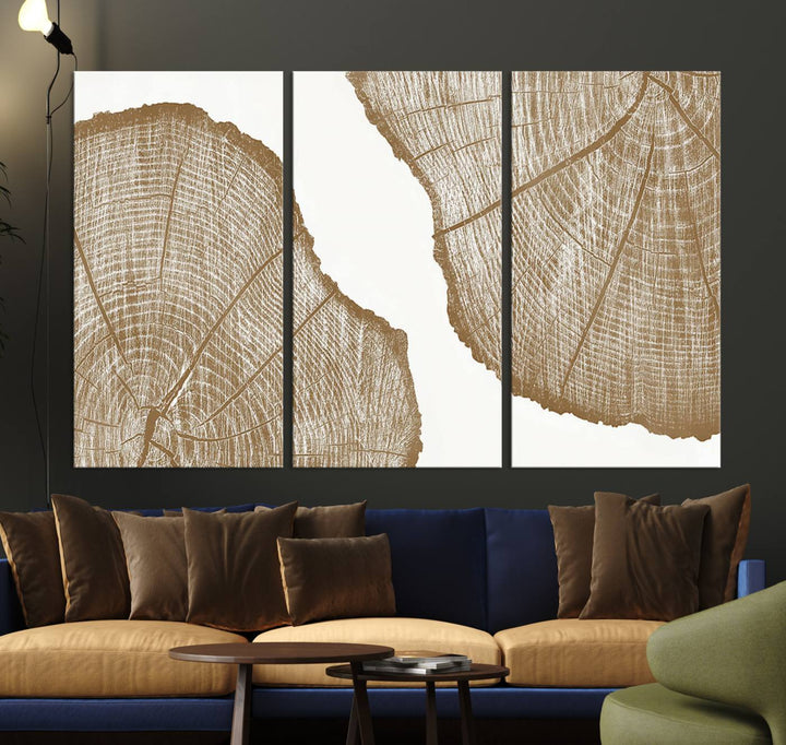 The rustic wall art features two large tree rings, beautifully framed and displayed to create a nature-inspired décor.