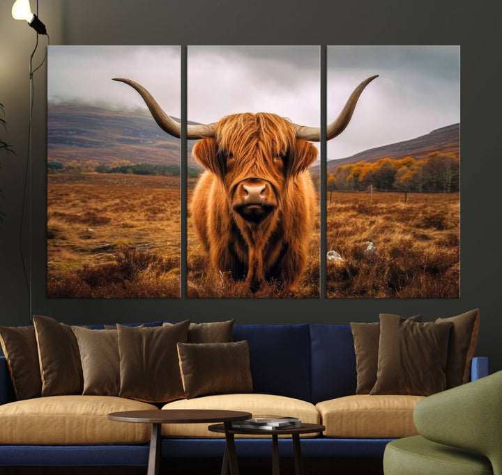 Highland Cow Longhorn Canvas Print, framed, on a wooden wall.