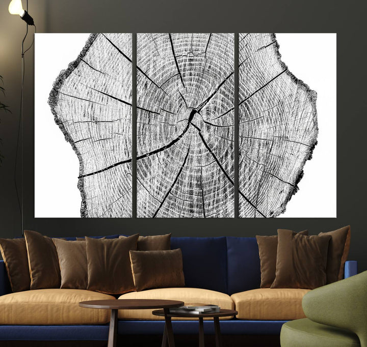 Black and white tree ring art print.