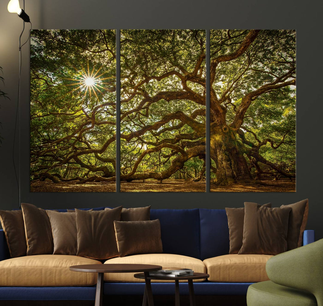 The Ancient Angel Oak Tree Art Sunburst Canvas Print, a framed triptych, serves as wall art.