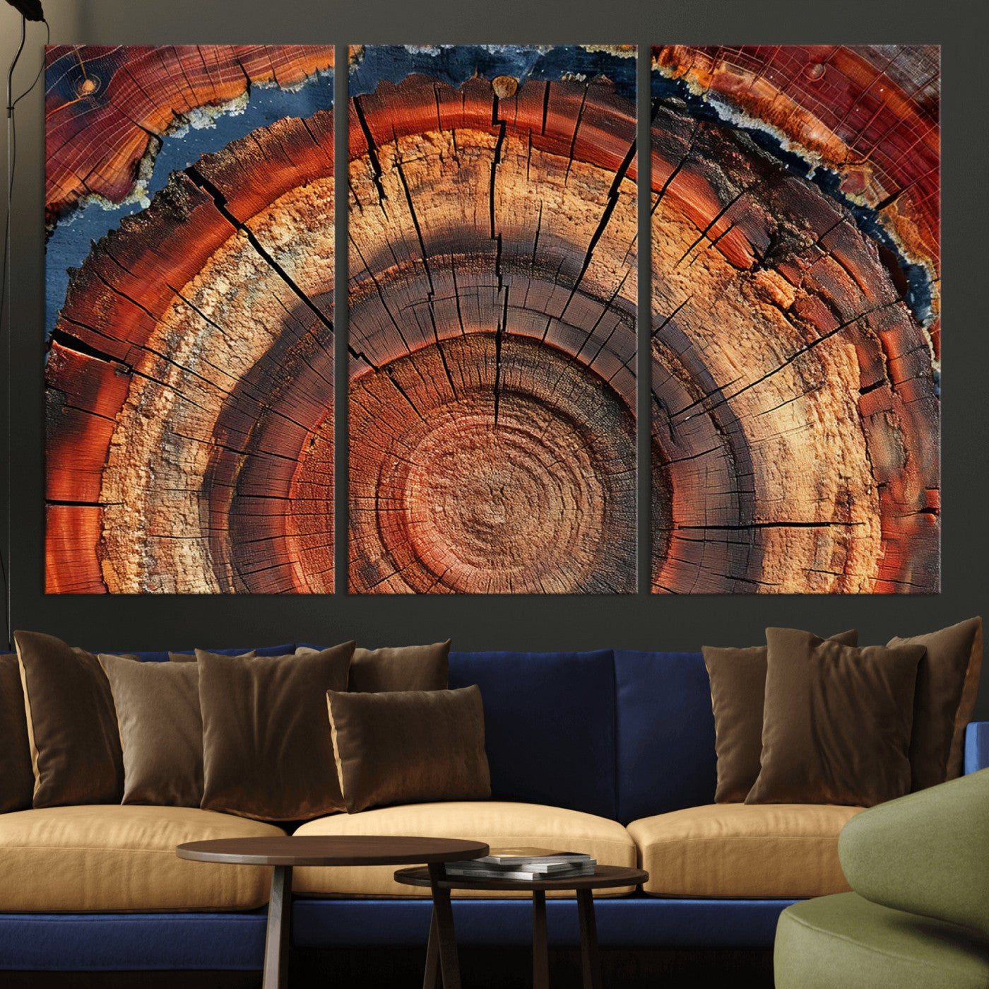 MGV-CV-48X32-3P - Abstract Tree Ring Art, Colorful Tree Ring Wall Decor, Minimalist Home Canvas Art, Modern Farmhouse
