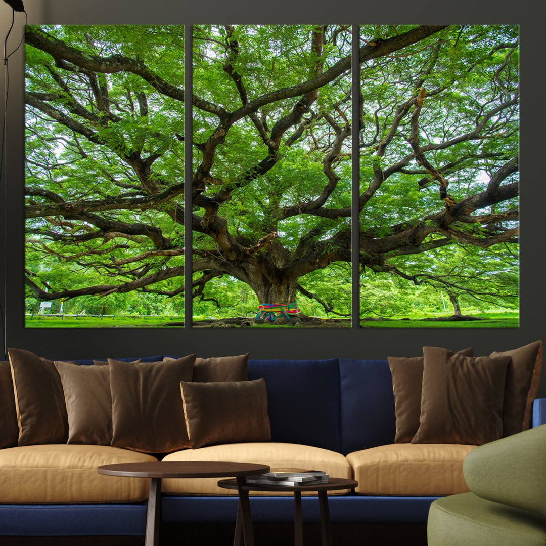 Framed Angel Oak Tree print featuring sprawling branches and ribbons against a clear sky backdrop, ideal for home or office decor.