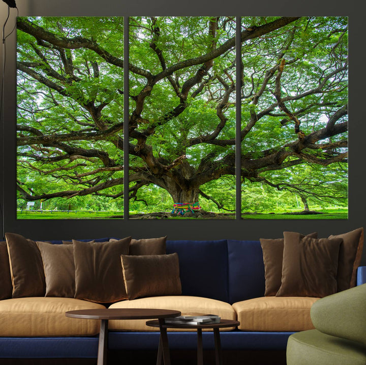 Framed Angel Oak Tree print featuring sprawling branches and ribbons against a clear sky backdrop, ideal for home or office decor.