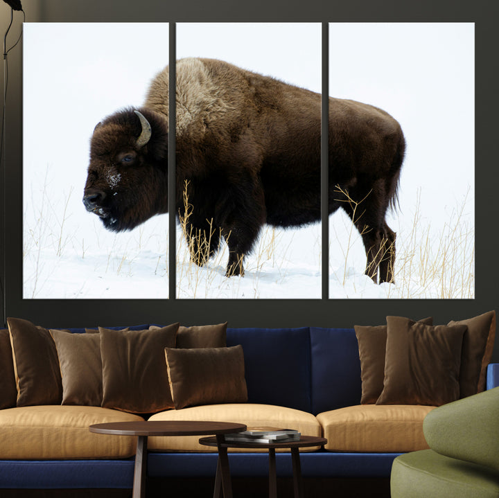 Bison Photography Wall Art Canvas Print, Framed Western Wildlife Art Picture Print, Buffalo On Snow Perfect Western Decor Artwork