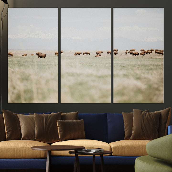Bison Herd Wall Art Canvas Print, Framed Western Art Picture Print, Bison Perfect Ranch Decor Artwork
