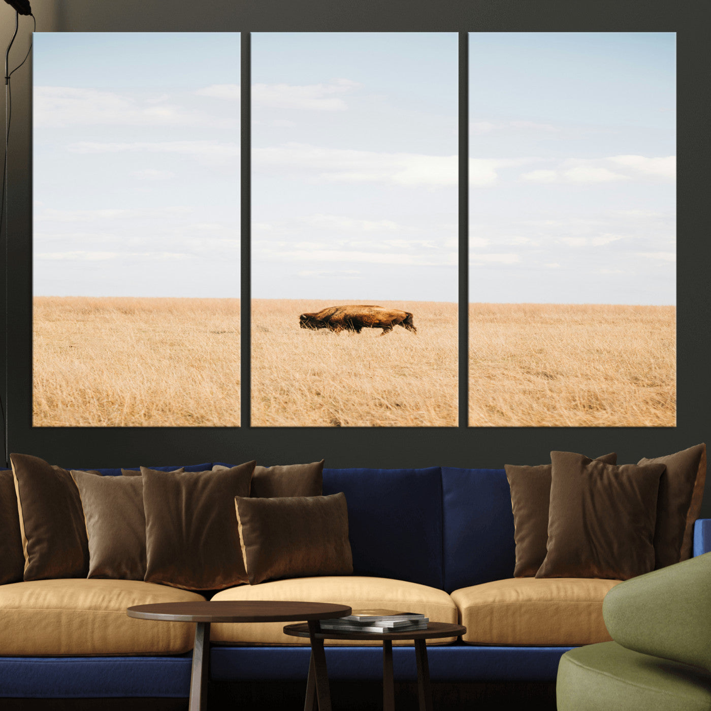 MGV-CV-48X32-3P - Minimalist Nature Wall Art Canvas Print, Framed Bison In Grassland Art Picture Print, Open Field Perfect Modern Ranch Decor Decor Artwork