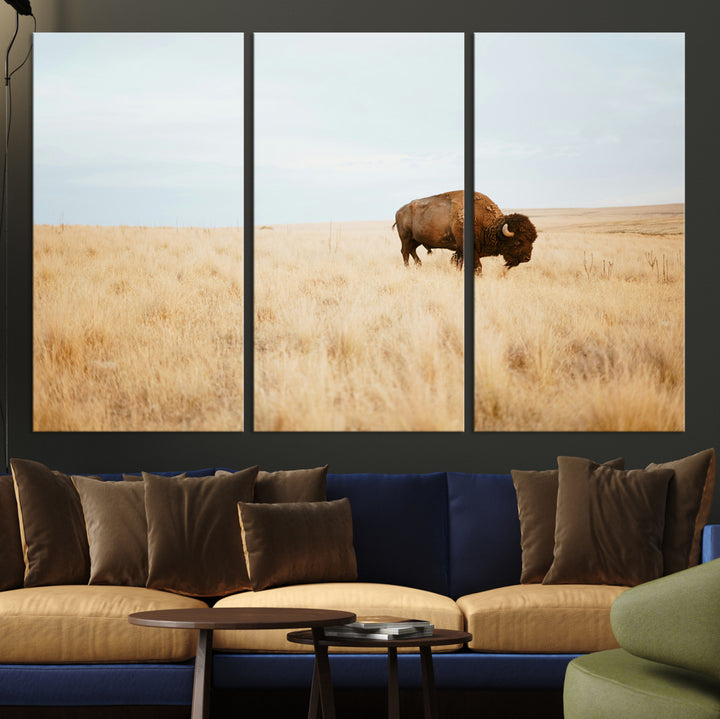 A lone bison standing in a vast golden grassland under a soft blue sky, evoking a rustic and Western aesthetic, ideal for farmhouse decor.
