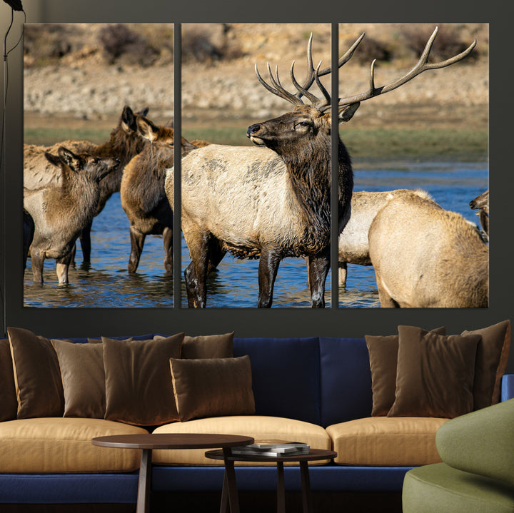 Group of elk standing in shallow water with dry rocky terrain in the background, showcasing wildlife in a natural setting for rustic decor.
